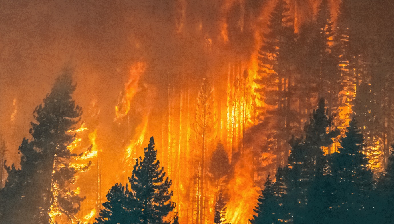 El 0,4% del fuego que arrasa el 97,6% del monte: el estudio de la ULPGC que cambia la mirada sobre los incendios en Canarias