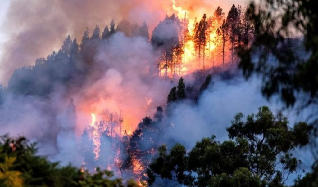 Incendio en Gran Canaria