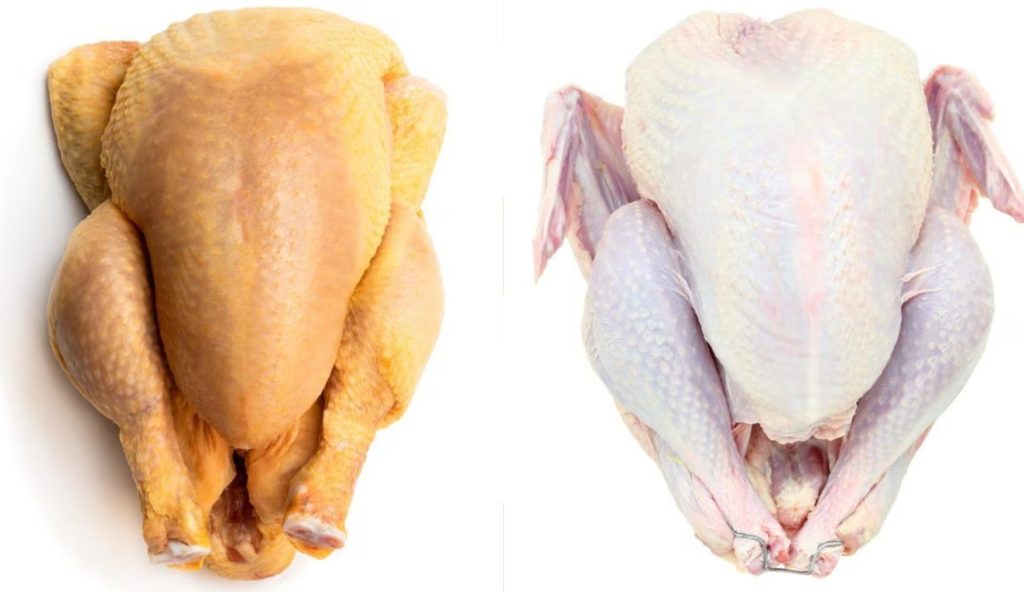Pollo amarillo beneficios
