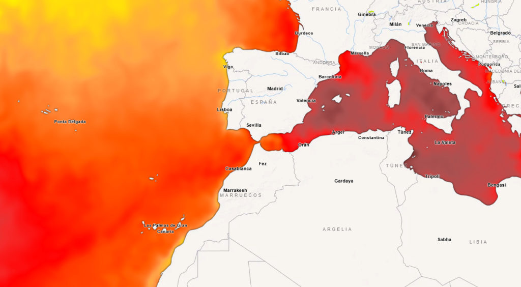 Temperatura del agua mediterraneo y Canarias